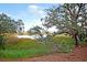 Scenic marsh view with lush greenery and trees, with a glimpse of the waterway in the distance at 1658 Pierce St, Charleston, SC 29492