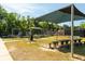 Community playground featuring picnic tables, sunshades and climbing structures, perfect for Gathering fun at 1971 N Smokerise Way, Mount Pleasant, SC 29466