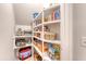 Well-organized pantry with ample shelving for food storage and kitchen appliances at 2016 Elvington Rd, Johns Island, SC 29455