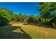 Expansive fenced backyard featuring lush grass and mature trees, perfect for outdoor activities at 2501 Myrtle St, Edisto Beach, SC 29438
