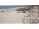 Scenic view of the sandy beach with ocean waves and natural vegetation at 2501 Myrtle St, Edisto Beach, SC 29438