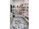 Walk-in pantry with wire shelving, plenty of storage space, and a decorative rug at 2557 Hatch Dr, Johns Island, SC 29455