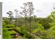 Scenic backyard featuring mature trees and lush vegetation at 2578 Helmsman Rd, Johns Island, SC 29455