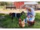 A Personal and on a farm holding eggs, surrounded by goats and chickens in a pastoral setting at 2578 Helmsman Rd, Johns Island, SC 29455