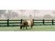 Pastoral scene featuring a grazing cow in a lush, green field with a wooden fence at 2578 Helmsman Rd, Johns Island, SC 29455