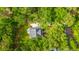 Overhead shot of property nestled among lush trees at 3635 Pandora Dr, Mount Pleasant, SC 29466