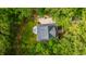 Aerial view of a charming home with manicured lawn surrounded by lush trees at 3635 Pandora Dr, Mount Pleasant, SC 29466