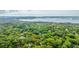 Expansive aerial view of a neighborhood surrounded by lush greenery and a serene coastal backdrop at 3635 Pandora Dr, Mount Pleasant, SC 29466