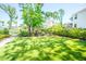 Expansive backyard with lush green grass, mature trees, and outdoor play area at 3688 Goodwater St, Mount Pleasant, SC 29466