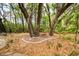 Landscaped backyard features mature trees and custom fire pit area at 4991 Sound View Dr, Mount Pleasant, SC 29466