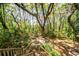 Backyard with a stone firepit and stairs leading down, surrounded by lush trees and greenery at 4991 Sound View Dr, Mount Pleasant, SC 29466