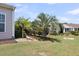 Well-manicured backyard with lush green grass, mature palm trees, and meticulous landscaping at 522 Tidewater Chase Ln, Summerville, SC 29486