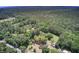 A lush property with a pool and outbuildings surrounded by a forest of mature trees at 5615 Highway 165, Ravenel, SC 29470