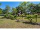 Well-manicured backyard with mature trees, small vineyard, birdhouse, and a glimpse of the home at 5615 Highway 165, Ravenel, SC 29470