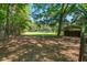 Open grass pasture with scattered trees and partial shed near a tree-lined border at 5615 Highway 165, Ravenel, SC 29470