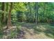Wooded area along a trail shows lush vegetation, nature, and sunlight through the trees at 5615 Highway 165, Ravenel, SC 29470