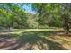 Large yard surrounded by mature trees, providing shade and privacy at 5615 Highway 165, Ravenel, SC 29470
