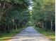 Tree-lined driveway creating a private and scenic entrance to the property at 1044 Towhee Ln, McClellanville, SC 29458