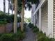 A narrow pathway with palm trees that runs alongside the house at 124 Charleston Blvd, Isle of Palms, SC 29451