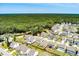 Beautiful aerial view of a quiet neighborhood with green trees and well-maintained houses at 1311 Berry Grove Dr, Summerville, SC 29485