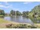 Scenic view of a pond with trees surrounding its banks at 1733 James Basford Pl, Mount Pleasant, SC 29466