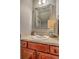 Bathroom featuring single vanity with neutral countertop, framed mirror, and decorative accents, creating a cozy space at 1781 Brittlebush Ln, Johns Island, SC 29455