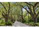 Scenic street lined with mature, shady trees creating a picturesque view at 2187 Saint James Dr, Charleston, SC 29412