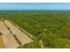 Aerial view showcasing land with a bordered property line, adjacent to a field, with ample tree coverage at 2234 River Rd, Johns Island, SC 29455