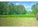 Expansive backyard featuring lush greenery and picturesque views of the serene natural surroundings at 236 Everwood Ct, Moncks Corner, SC 29461