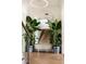 Cozy entryway showcases wood stairs, modern lighting, and large potted plants for a touch of nature at 2538 Helmsman Rd, Johns Island, SC 29455