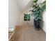 Inviting hallway with hardwood floors, a decorative plant, modern art, and comfortable seating at 2538 Helmsman Rd, Johns Island, SC 29455