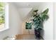 Inviting hallway with hardwood floors, a decorative plant, modern art, and comfortable seating at 2538 Helmsman Rd, Johns Island, SC 29455