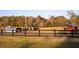 Open pasture with cows grazing, shed, and fenced landscape at 2538 Helmsman Rd, Johns Island, SC 29455
