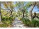 Beautiful community path lined with live oaks and palmetto trees at 2538 Helmsman Rd, Johns Island, SC 29455
