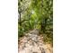 Charming community path shaded by mature trees and Spanish moss at 2538 Helmsman Rd, Johns Island, SC 29455