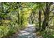 Picturesque community walking path shaded by lush trees with dappled sunlight at 2538 Helmsman Rd, Johns Island, SC 29455