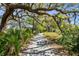 Inviting community path surrounded by lush greenery and shady trees at 2538 Helmsman Rd, Johns Island, SC 29455