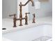 Elegant kitchen sink features bronze fixtures, light countertops, and a stainless steel sink rack at 301 Beaufort St, Summerville, SC 29483