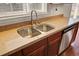 Close-up of a kitchen sink with granite countertops and stainless steel appliances at 330 Albrighton Way, Moncks Corner, SC 29461