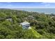 Expansive aerial view showcasing coastal home nestled among lush trees with ocean views in desirable community at 912 Cheehaw St, Edisto Island, SC 29438