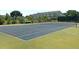 Well-maintained tennis courts within a friendly community for active residents and families at 1614 Prince Edward St, Mount Pleasant, SC 29466