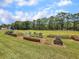 Outdoor community garden with raised planting beds on a grassy area at 1705 Sulgrave Rd, Charleston, SC 29414