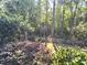Private backyard with lush trees, landscaping, and a charming wooden fence at 1736 James Basford Pl, Mount Pleasant, SC 29466
