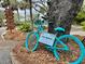 Bicycle parked near signage for bike rentals, perfect for exploring local scenery at 208 Sea Cloud Cir, Edisto Island, SC 29438