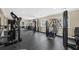 Community gym featuring state-of-the-art weightlifting equipment and natural light at 208 Sea Cloud Cir, Edisto Island, SC 29438