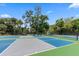 Outdoor pickleball courts with blue and gray surfaces, surrounded by lush trees and greenery at 208 Sea Cloud Cir, Edisto Island, SC 29438