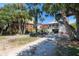 Expansive backyard with mature trees, a pool, and charming homes, offering a serene and picturesque setting at 220 E Arctic Ave, Folly Beach, SC 29439