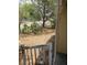View of a fenced backyard with mature trees and natural landscaping, as seen from porch at 2313 Aintree Ave, North Charleston, SC 29405