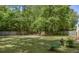 Backyard featuring a spacious lawn with shade trees, statue, and privacy fence at 3021 Rushland Mews, Johns Island, SC 29455