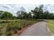 Winding trail offering scenic views and a peaceful retreat into nature at 397 Woodgate Way, Summerville, SC 29485
